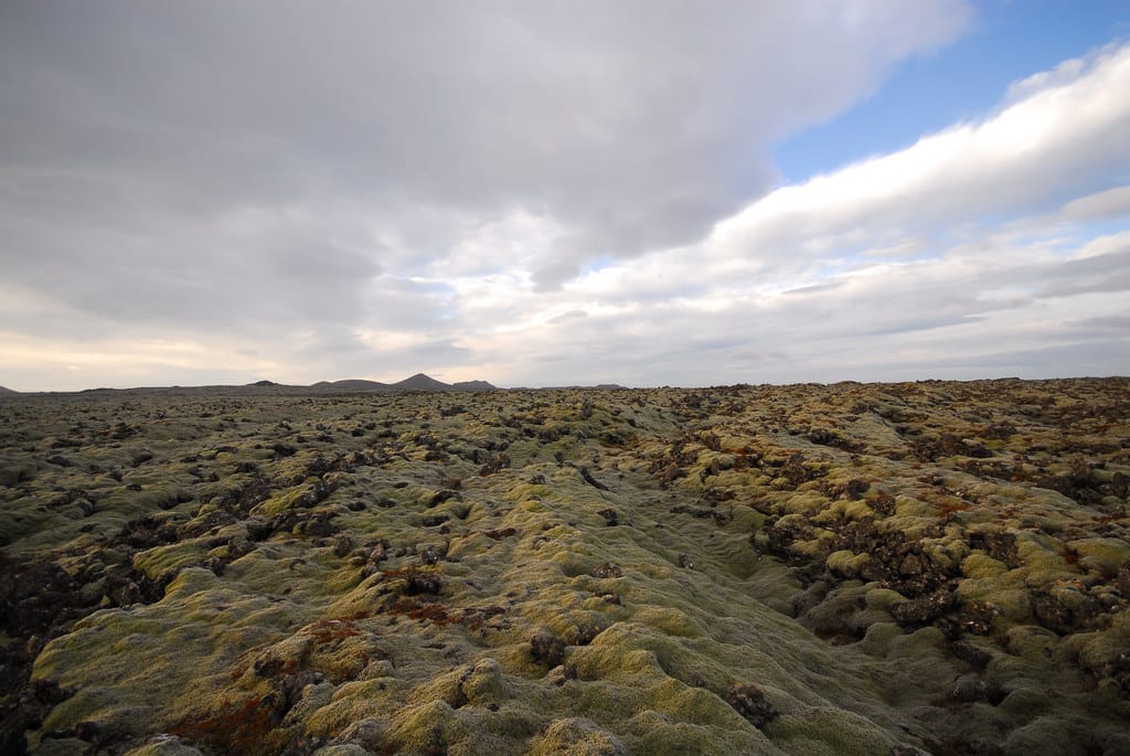 Telja að Birnu hafi verið varpað í Vogsós