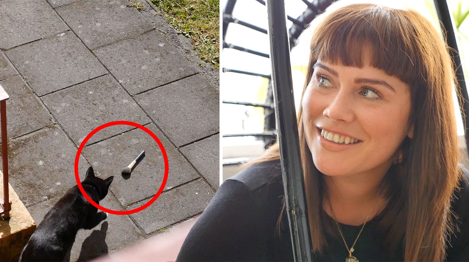 Kötturinn Bófi rænir förðunarburstum af konum í hverfinu
