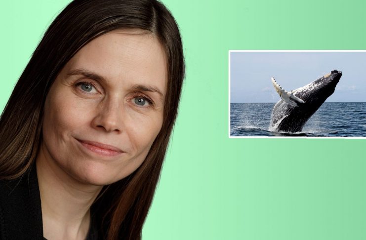 Katrín vill ekki að umræðan um launamun kynjanna týnist í umræðum um aðferðafræði: „Munurinn á að sjálfsögðu enginn að vera“