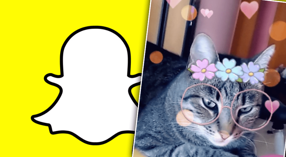 Snapchat býður nú loksins upp á filtera fyrir ketti: „Filterar fyrir svala ketti“
