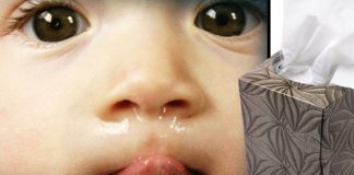 Fróðleikur fyrir flensufjölskyldur