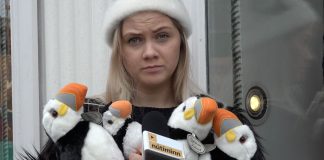 Lundabúðirnar eru í alvöru að selja mjög mikið af lundum
