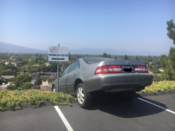 Driving Fails (25 pics)