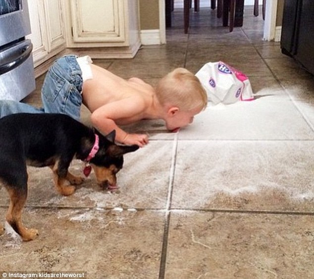 Flour power: The pantry staple is recipe for disaster, with one young boy licking it off the floor alongside his dog