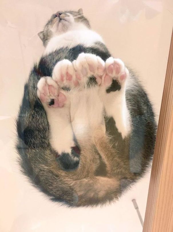Looking Up At A Full Set Of Jellybeans