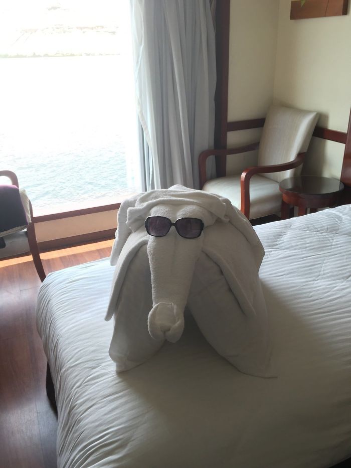 Hotel Maid Clearly Found My Sunglasses