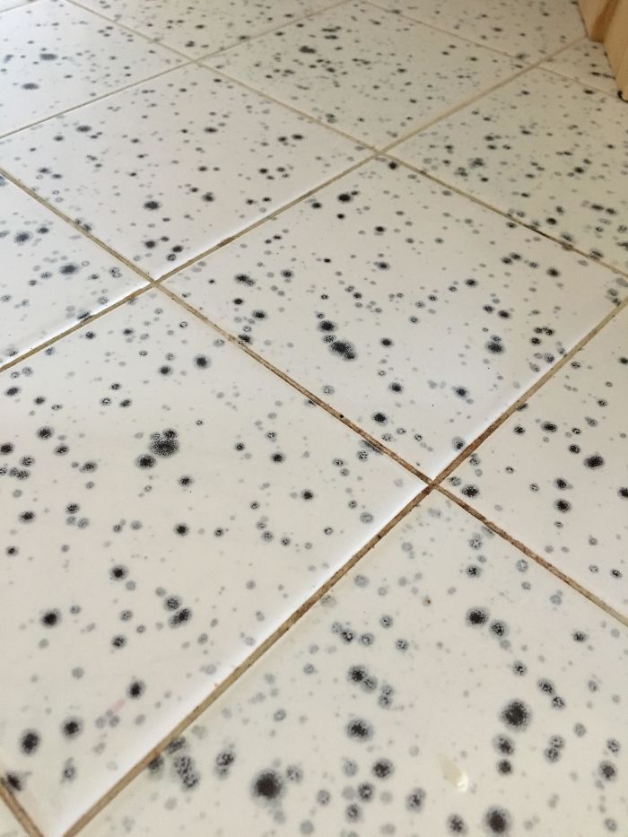This Entire Kitchen’s Counters And Backsplash Are Covered With This “Faux Mold” Tile