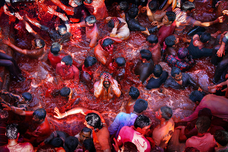 Hindus Immersing Themselves In A Pool FIlled With Colored Water During Holi In Nasik, India