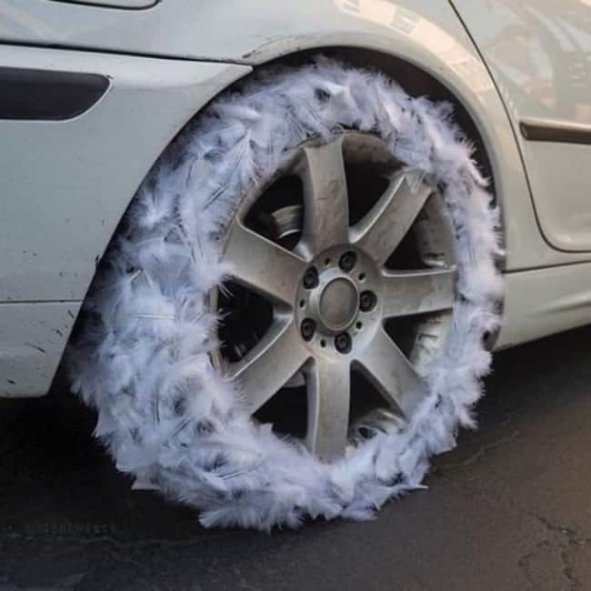 Images That Will Make You Feel Uncomfortable feather wheel