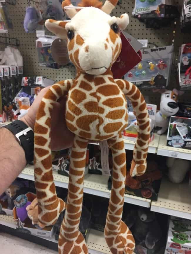 wrong-giraffe-size