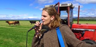 Nýtt myndband frá Daða Frey: „Skiptir ekki máli“