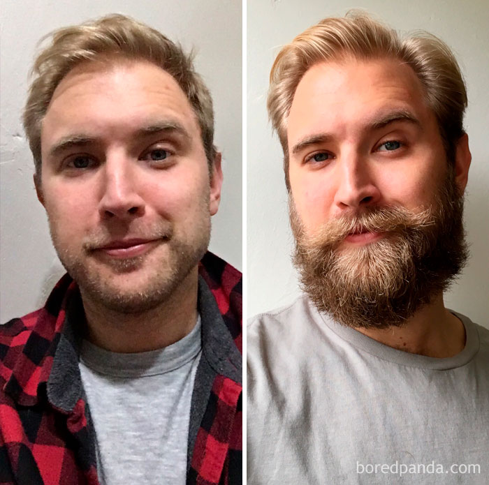 Three Month Beard Progress: Before/After