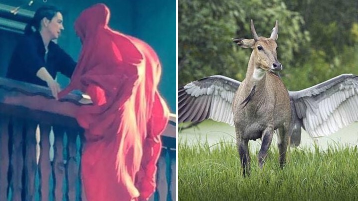 33 myndir sem voru teknar á AKKÚRAT rétta augnablikinu - Talandi um fullkomna tímasetningu!