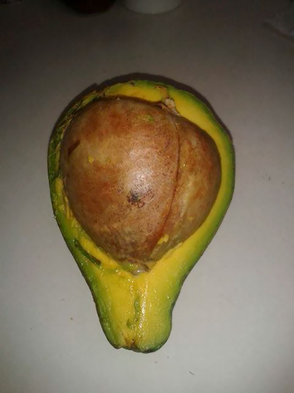 I Chose The Biggest Avocado To Make Guacamole, I Think It's Not Going To Happen