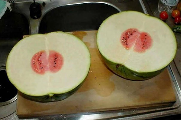 These Watermelons Are Disappointing