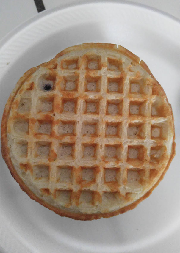 This Blueberry Waffle