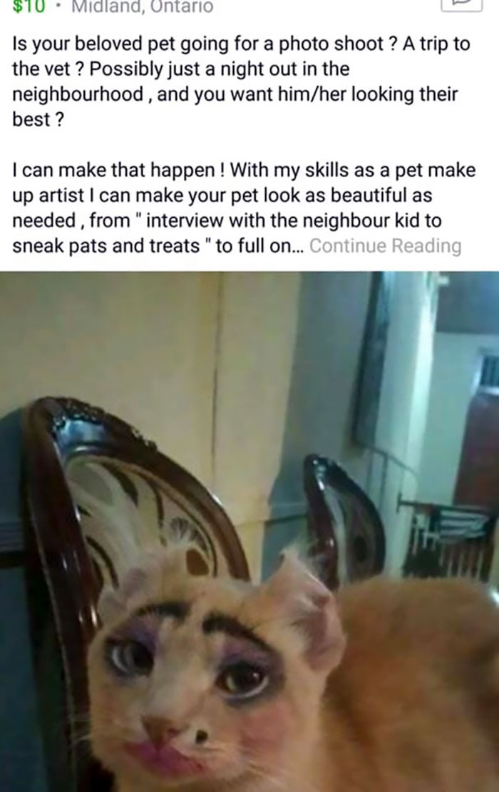 Pet Makeup...