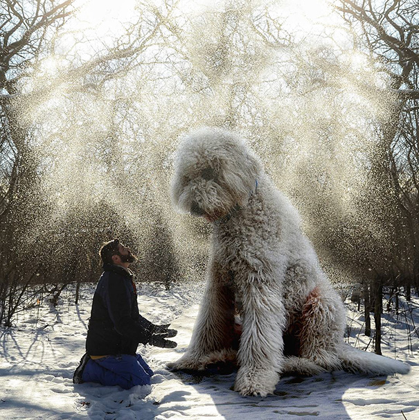 giant-dog-photoshop-adventures-juji-christopher-cline-1