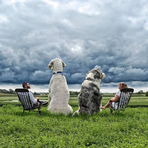 giant-dog-photoshop-adventures-juji-christopher-cline-30