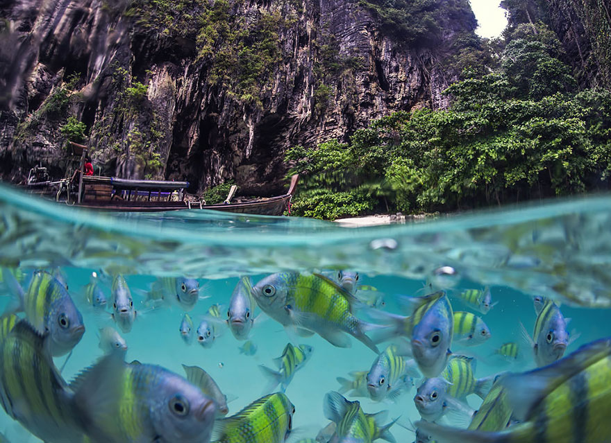 Underwater Life Of Poda Island, Thailand