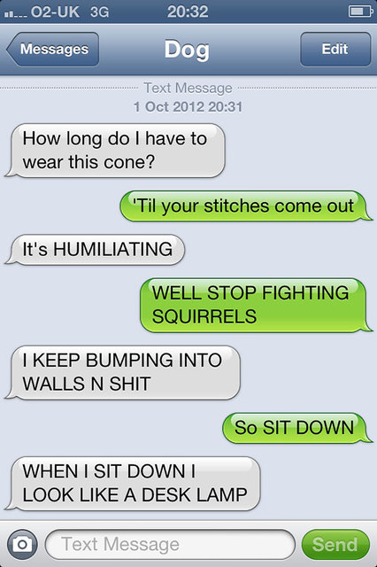 6bbe9ead-1e1e-40a7-bd8d-ea623a244367_medium