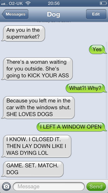 91f513eb-e0a7-42c8-b05b-38d4edb79b13_medium