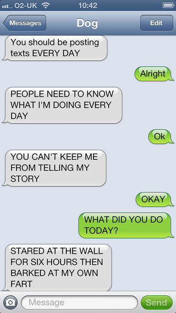 9bd9bf52-0c63-4503-a180-e63e998dfe34_medium