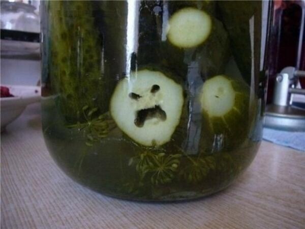This pickle is evil